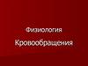 Физиология кровообращения