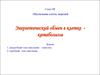 Энергетический обмен в клетке - катаболизм