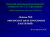 Физиология и биохимия бактерий. Лекция 2