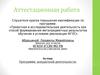 Аттестационная работа. Программа внеурочной деятельности