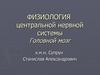Физиология центральной нервной системы. Головной мозг