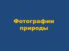 Фотографии природы