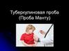 Проба Манту