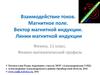 Взаимодействие токов. Магнитное поле. Вектор магнитной индукции. Линии магнитной индукции