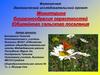 Мониторинг биоразнообразия окрестностей Юбилейного сельского поселения