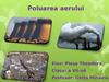 Poluarea aerului