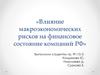 Влияние макроэкономических рисков на финансовое состояние компаний РФ