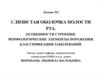 Слизистая оболочка полости рта. Особенности строения. Морфологические элементы поражения. Классификация заболеваний