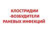 Клостридии - возбудители раневых инфекций