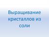 Выращивание кристаллов из соли