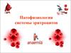Патофизиология системы эритроцитов