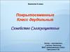 Покрытосеменные. Класс двудольные. Семейство сложноцветные