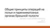 Общие принципы операций на полых и паренхиматозных органах брюшной полости