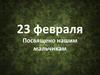 23 февраля. Посвящено нашим мальчикам