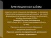 Аттестационная работа. Практика проектно-исследовательской деятельности по физике и астрономии