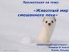 Животный мир смешанного леса