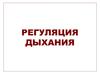 Регуляция дыхания