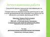 Аттестационная работа. Дополнительная образовательная программа. Авиамоделизм. Сверхлегкие летающие модели