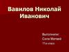 Вавилов Николай Иванович