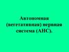 Автономная (вегетативная) нервная система