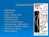 Паразитизм. Эволюция. Виды паразитизма