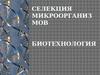 Селекция микроорганизмов. Биотехнология