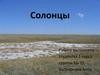 Тип почвы солонцы