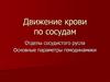 Движение крови по сосудам. Отделы сосудистого русла. Основные параметры гемодинамики