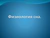 Физиология и стадии сна
