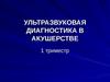 11.  1 триместр беременности. Ультразвуковая диагностика в акушерстве