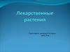 Лекарственные растения