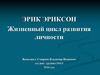 Жизненный цикл развития личности