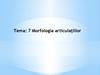 Tema 7. Morfologia articulatiilor