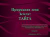Природная зона Земли: Тайга