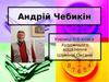 Андрій Чебикін