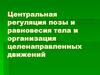 Центральная регуляция позы и равновесия тела и организация целенаправленных движений