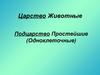Царство Животные Подцарство Простейшие (Одноклеточные)