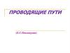Анатомия центральной нервной системы. Проводящие пути