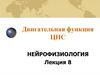 Нейрофизиология. Двигательная функция ЦНС. (Лекция 8)