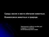 Среды жизни и места обитания животных. Взаимосвязи животных в природе