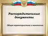 Распорядительные документы