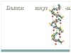 Белки и нуклеиновые кислоты