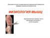 Функционирование нервно-мышечного синапса