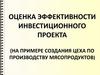 Оценка эффективности инвестиционного проекта на примере создания цеха по производству мясопродуктов
