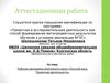 Аттестационная работа. Рабочая программа элективного курса «Русский язык. Проектная деятельность»