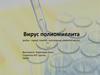 Вирус полиомиелита