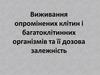 Виживання опромінених клітин і багатоклітинних організмів та її дозова залежність