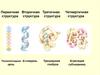 Структура белка