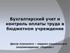 Бухгалтерский учет и контроль оплаты труда в бюджетном учреждение