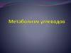 Метаболизм углеводов